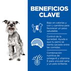 Hill's Smal & Mini Adult Mature Science Plan Frango ração para cães, , large image number null